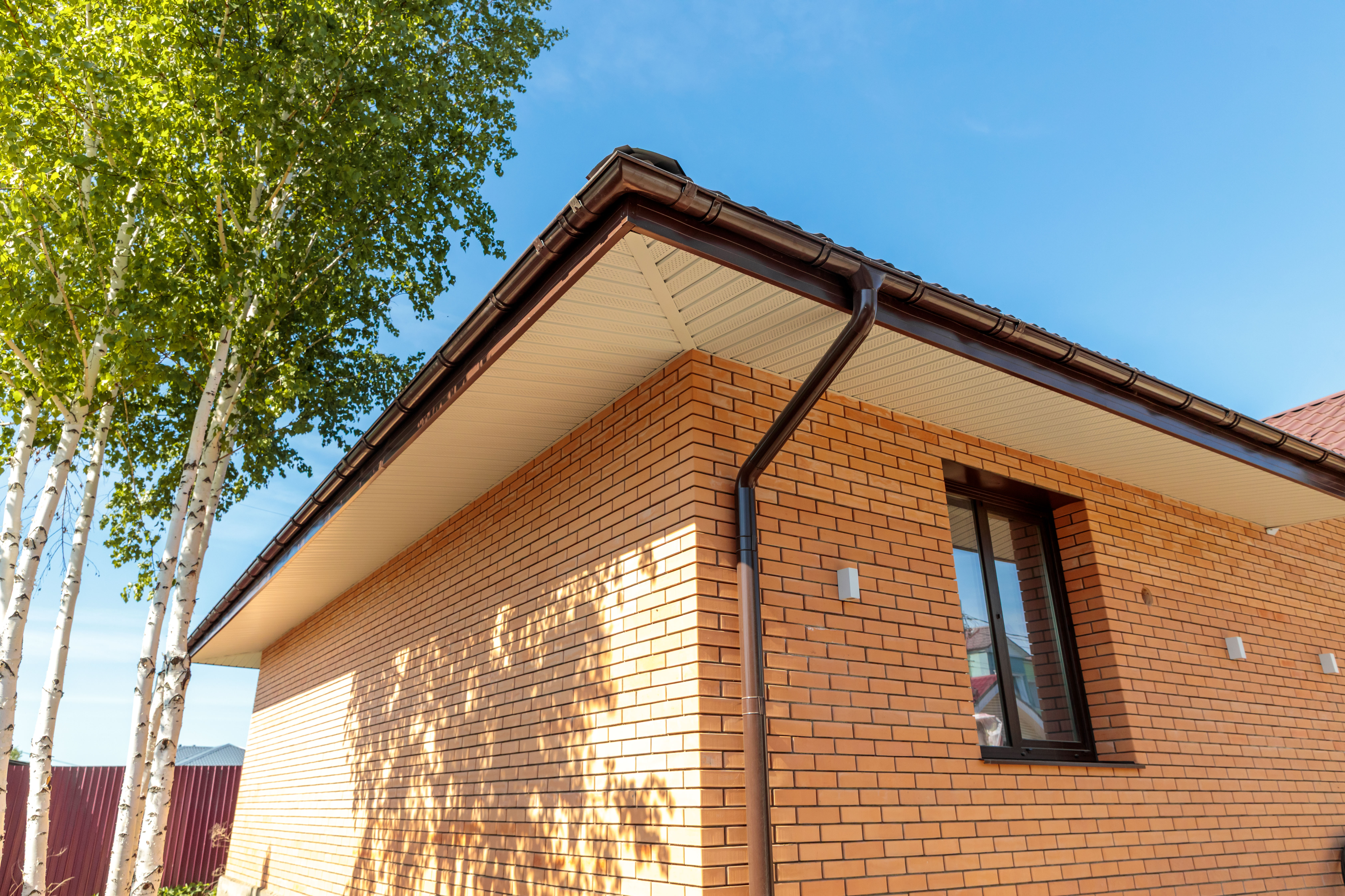 KOP_5818.jpg